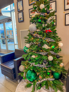 The Evergreen Elegance