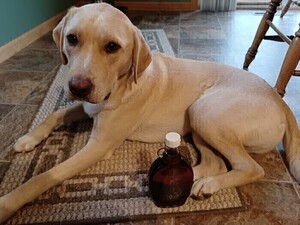 Locally Sourced Maple Syrup - Made By Animal Lover