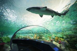 2 Tickets to Ripley's Aquarium of Canada