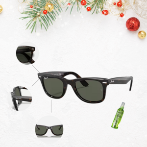 Men's Ray Ban Sunglasses
