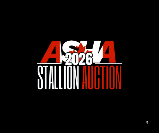 Alberta Stock Horse Association