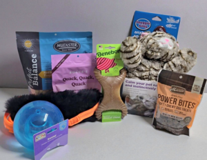 Dog Training Transformation Basket