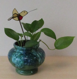 #S100  In-Home Houseplant Care & Consultation