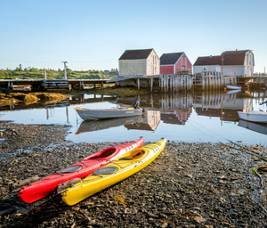 Sea Kayaking Experience