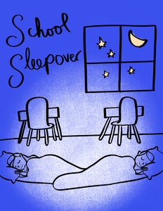 School Sleepover