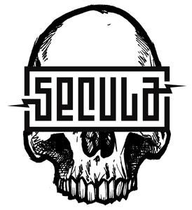 Secula Surfboards