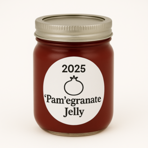SIX 1/2 Pints of Homemade 'Pam'egranate Jelly
