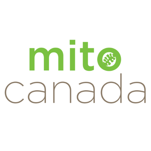 MitoCanada Foundation