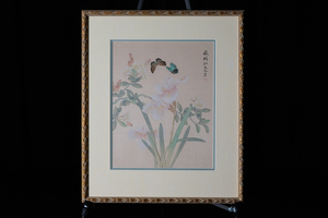 Butterfly and Iris