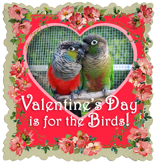 Exotic Avian Sanctuary of Tennessee