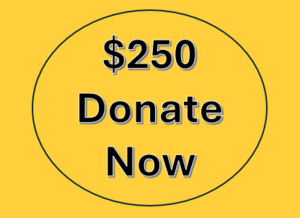 $250 Donation