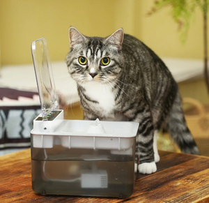 Smart Pet Water Fountain With Sensor Lid