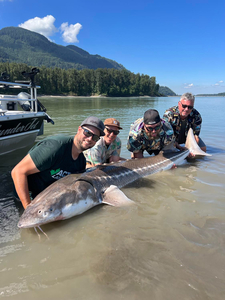 Sturgeon Fishing Trip for four (4)