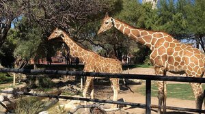 Family Activity Pack