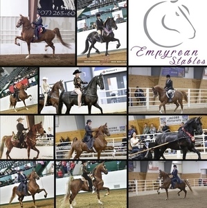 Riding Lesson of Your Choice at Empyrean Stables