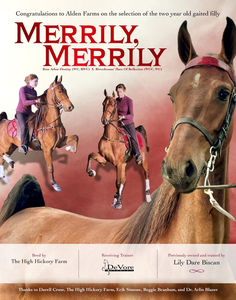 Equine Ad to Publish or Display