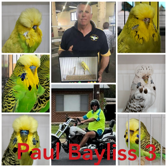 Paul Bayliss Dispersal Auction