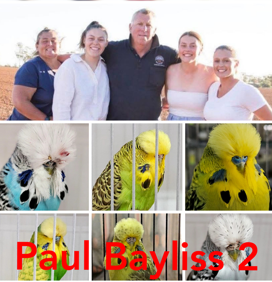 Paul Bayliss dispersal Auction