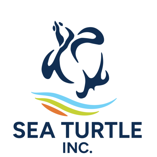 Sea Turtle Inc