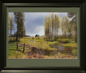 Crooked Creek