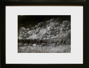 Storm