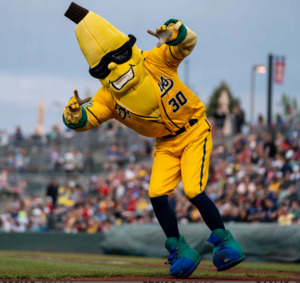 Savannah Bananas at Target Field