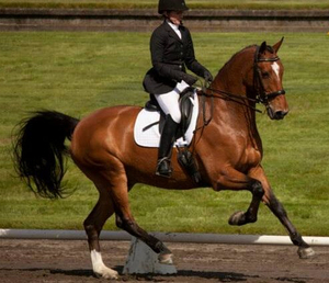 Private Lesson with Lisa Eagley