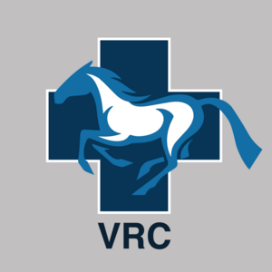 Aqua Treadmill Sessions