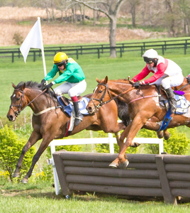 Admission to Virginia Gold Cup Races