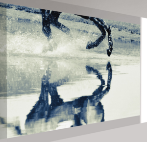 Mounted Photograph by Tara Jelenic