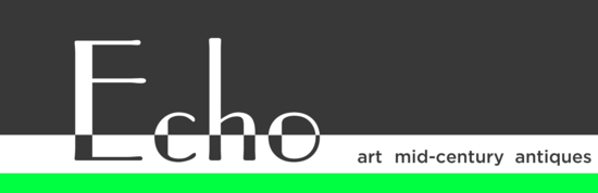 Echo Partners in Action