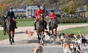 Capping Vouchers for Old Dominion Hounds