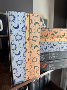 Fires of Carinae - Ashley Bresee