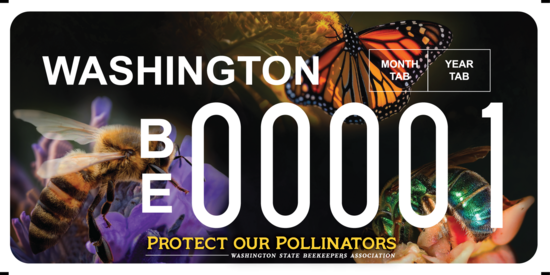 Washington State Beekeepers Association