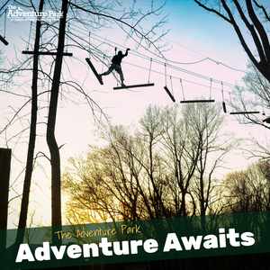 Four passes to Adventure Park at Sandy Spring