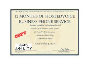 Small Business Phone Service - 12 Months Included