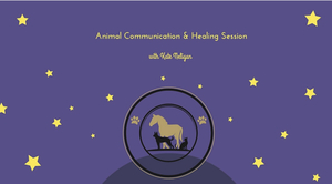 Animal Communication Session