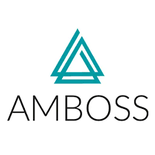 AMBOSS 6 month access