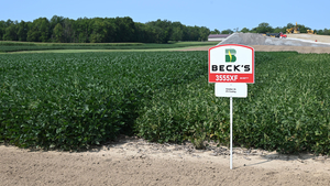 6 bags of Soybeans!