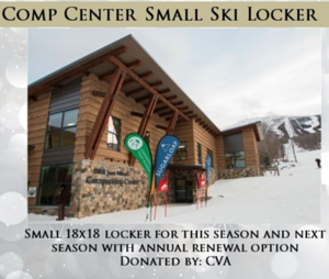 Small Locker Rental