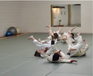 Aikido You Not... (NOW $15!)