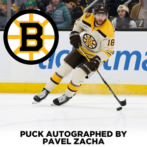 Boston Bruins