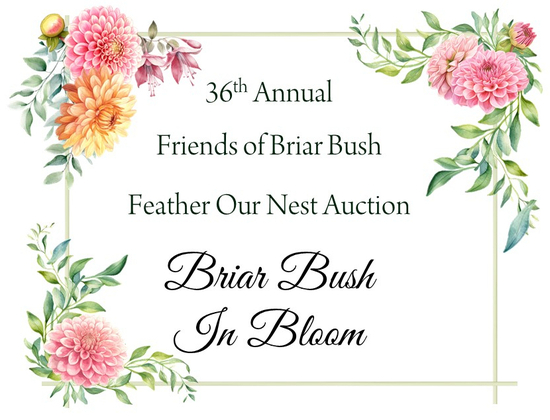 Briar Bush Nature Center