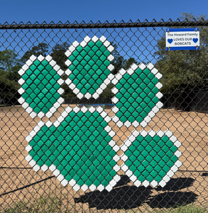 #088 Bobcat Spirit Paw (3 of 7)