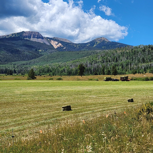 Summer Evening Picnic at Historic Frye Ranch