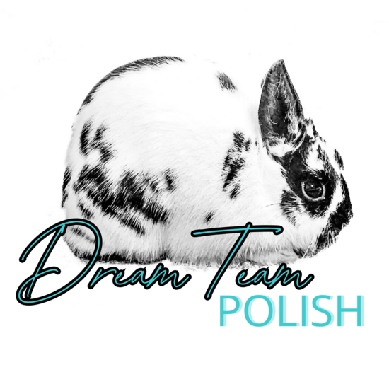 Dream Team Polish