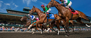 Blue Grass Stakes Day Box for 6