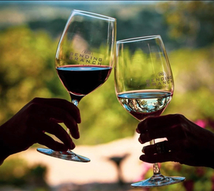 Grand Tour & Wine Tasting for 4 – Bending Branch