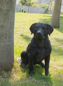 Raffle #5: Noble Black Labrador Statue