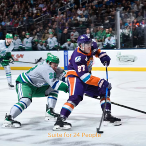 Orlando Solar Bears Suite